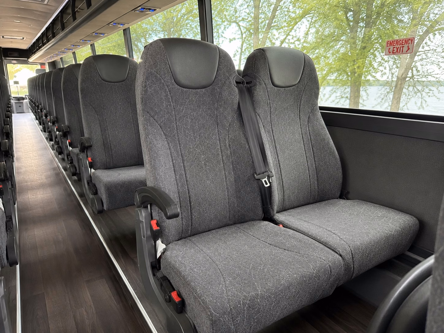 beaumont bachelorette and bridal party transportation made easy